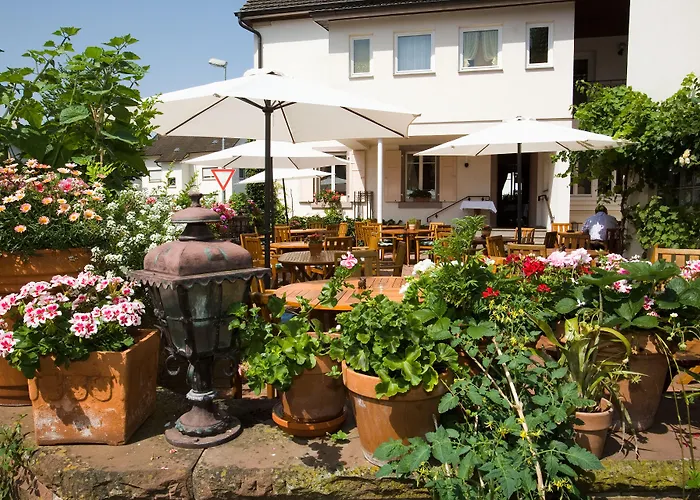 3-Sterne-Hotel: Hotel Hirsch